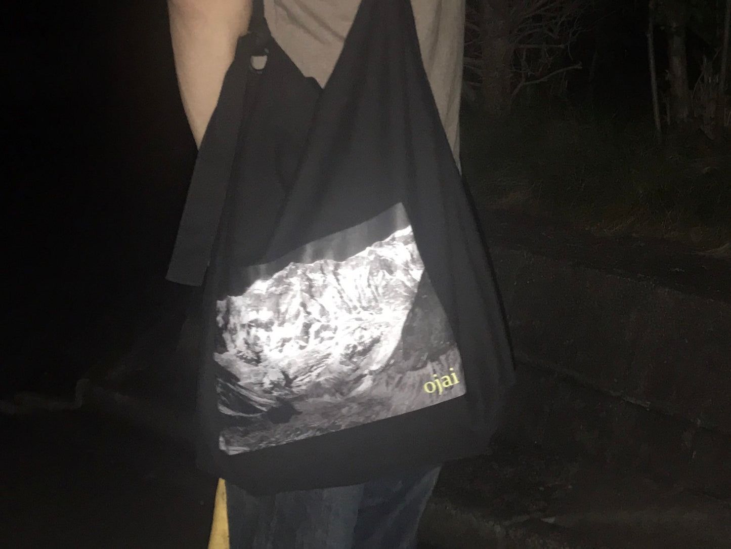OJAI annapurna free soul bag