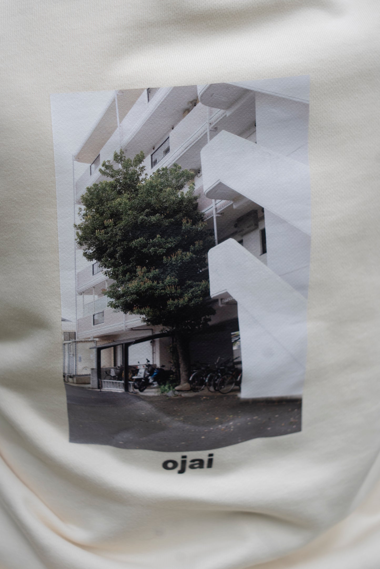 OJAI  GLOW PLANTS hoodie ＜L.W.W＞