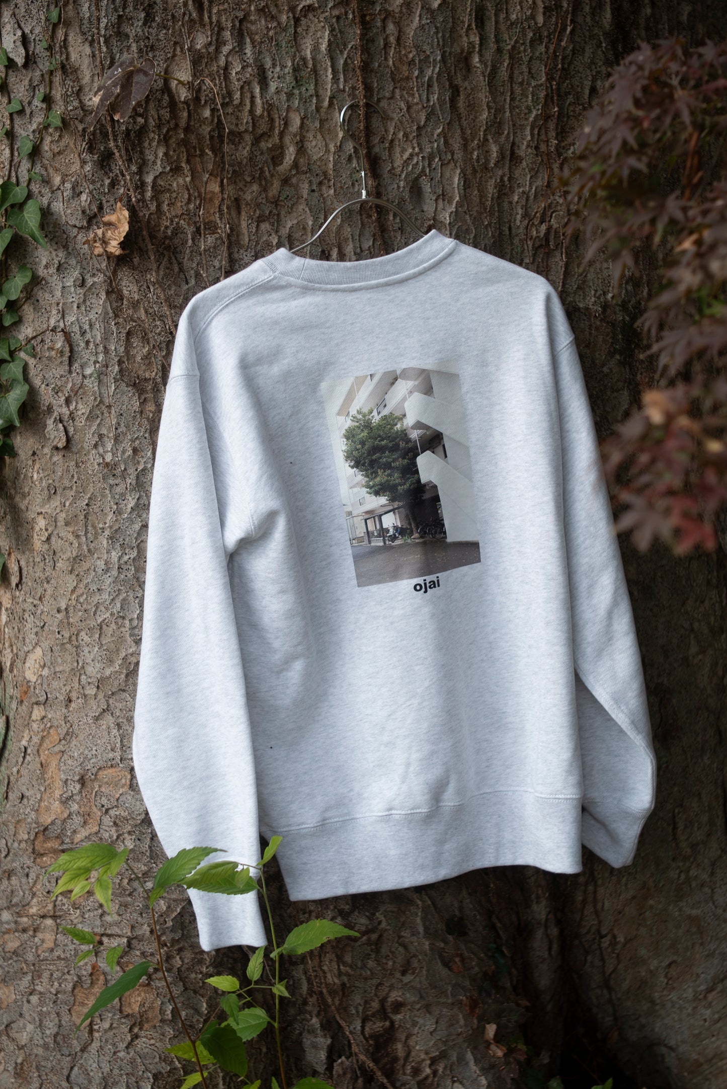 OJAI  GLOW PLANTS sweat　＜L.W.W＞